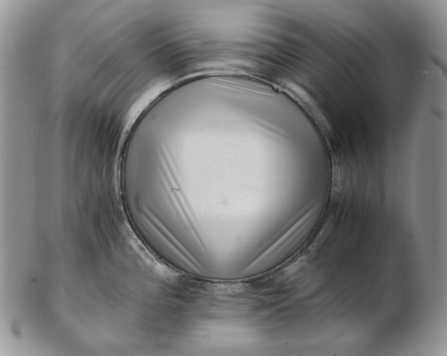 X0000102761196200809021001