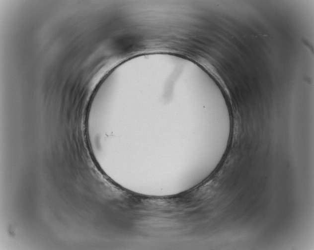 X0000102761197200809021001