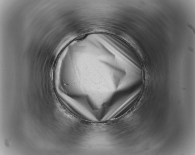 X0000102761198200809021001