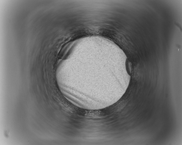 X0000102761201200809021000