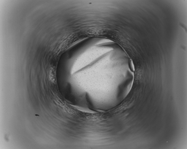 X0000102761202200809021000