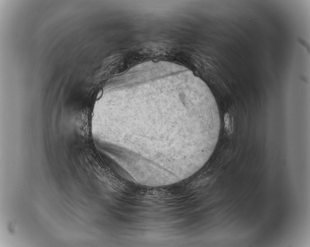 X0000102761203200809021000