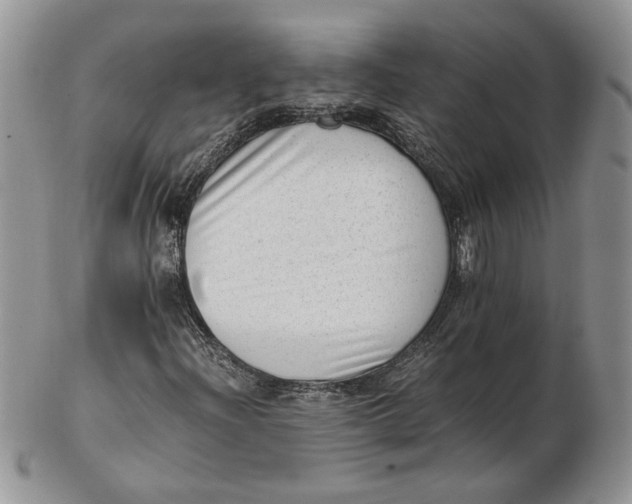 X0000102761204200809021000