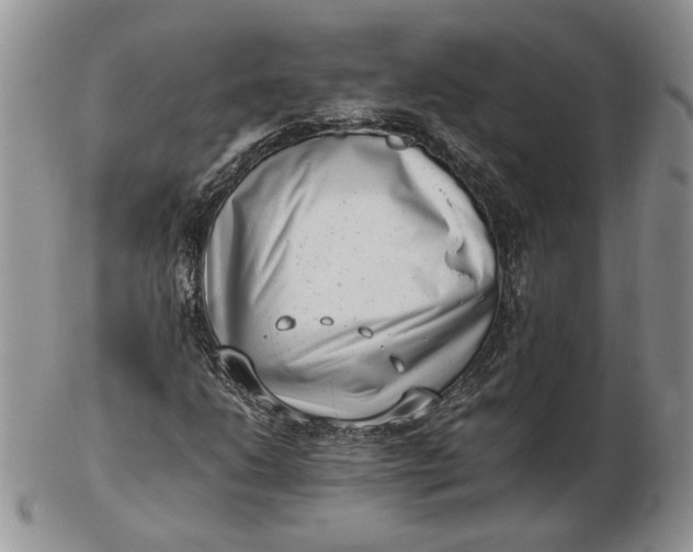 X0000102761206200809021000