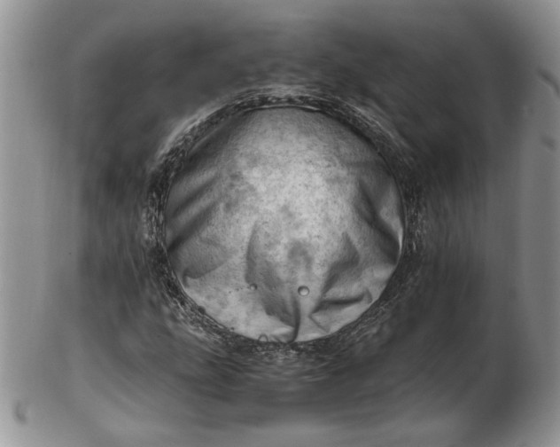 X0000102761207200809021000