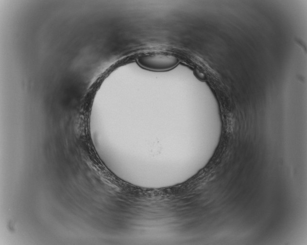 X0000102761208200809021000