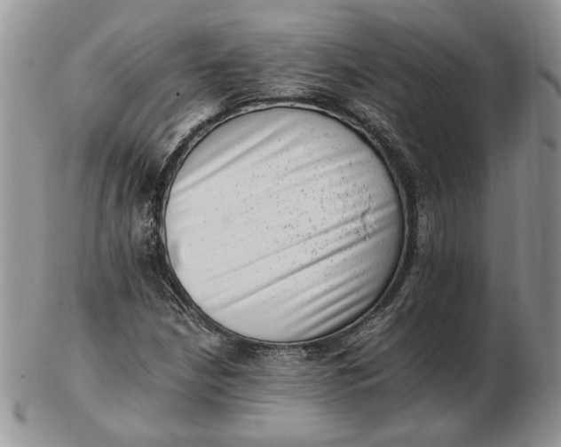 X0000102761210200809021000