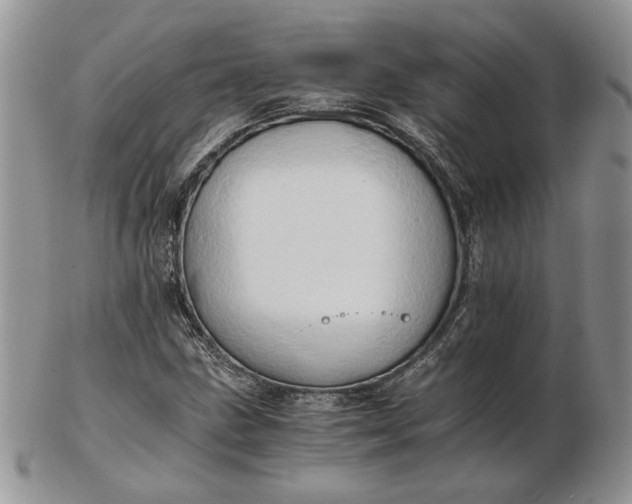 X0000102761211200809021000