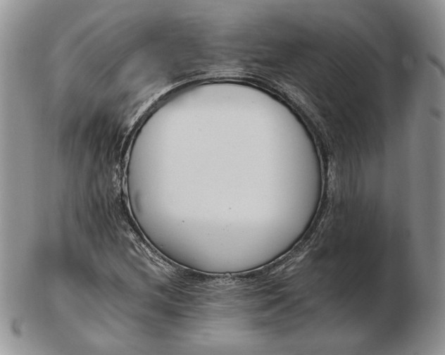 X0000102761212200809021000