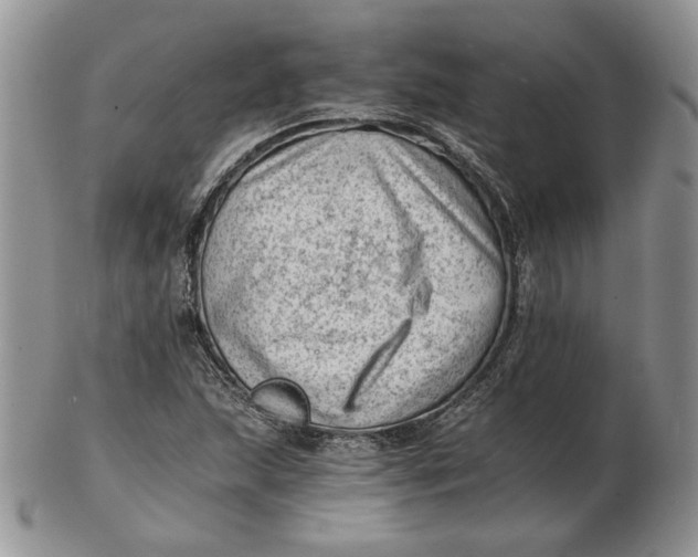 X0000102761215200809021000