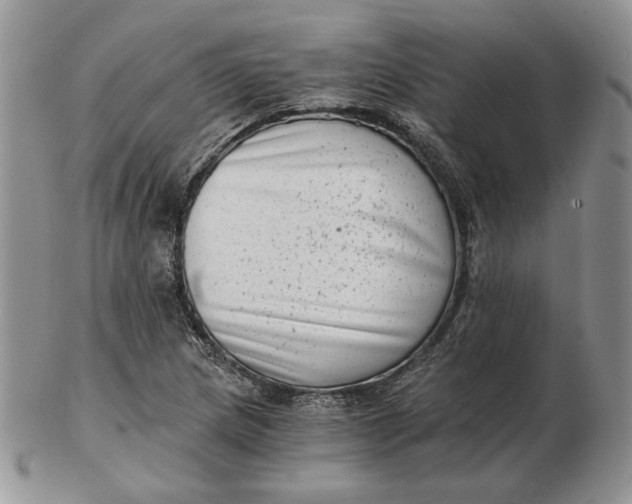 X0000102761217200809021000