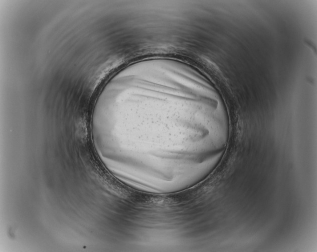 X0000102761218200809021000