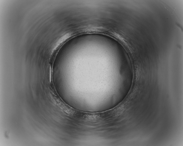 X0000102761219200809021000