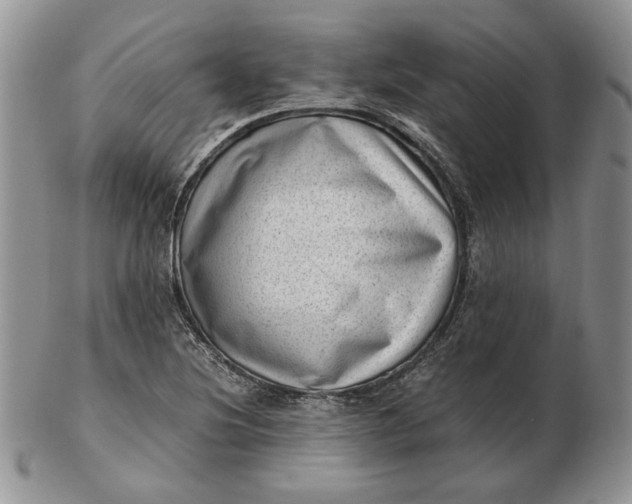 X0000102761220200809021000