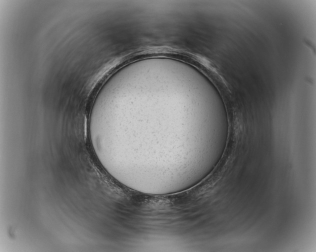 X0000102761221200809021000