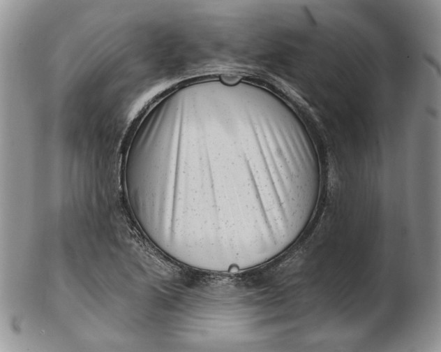 X0000102761222200809021000