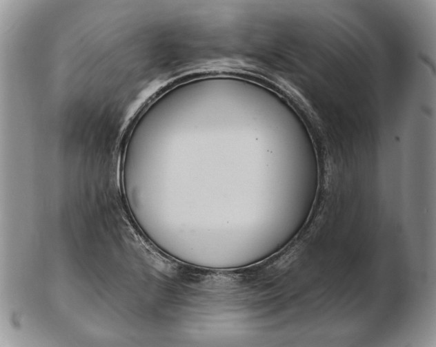 X0000102761224200809021000