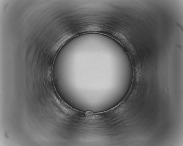 X0000102761225200809021000