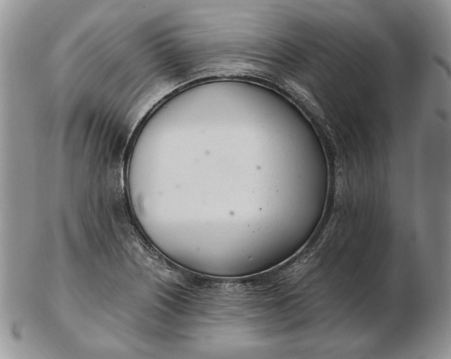 X0000102761226200809021000