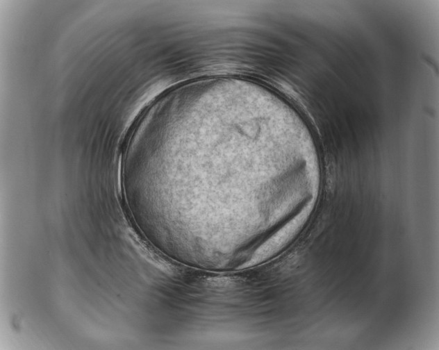 X0000102761227200809021000