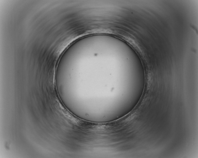 X0000102761228200809021000