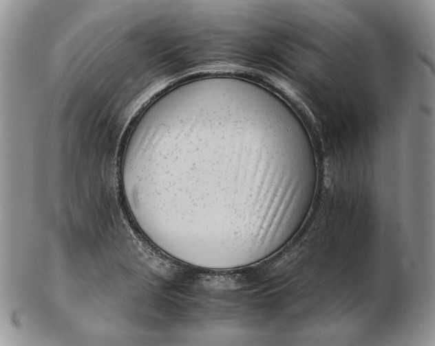 X0000102761229200809021000