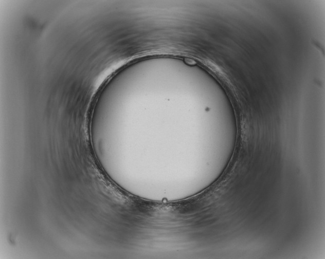 X0000102761230200809021000