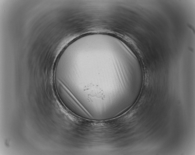 X0000102761231200809021000