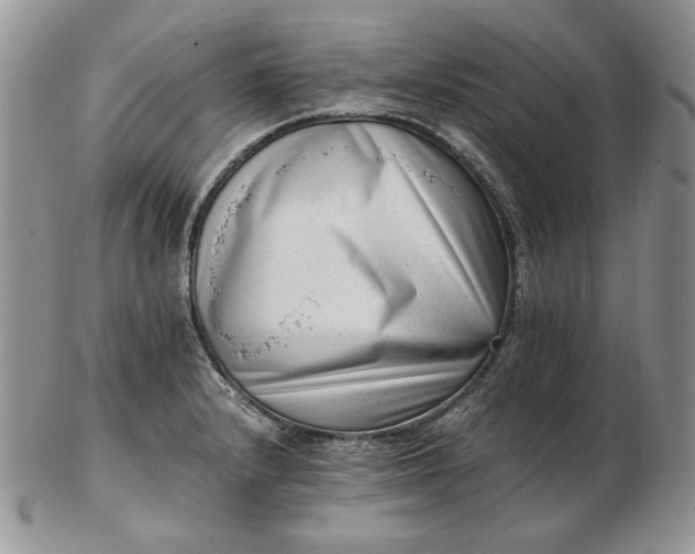 X0000102761232200809021000