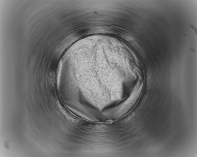 X0000102761233200809021000