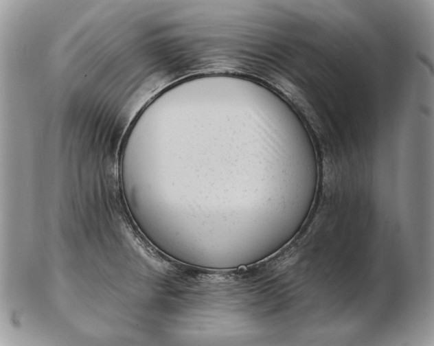 X0000102761234200809021000