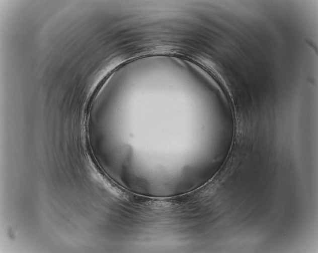 X0000102761235200809021000