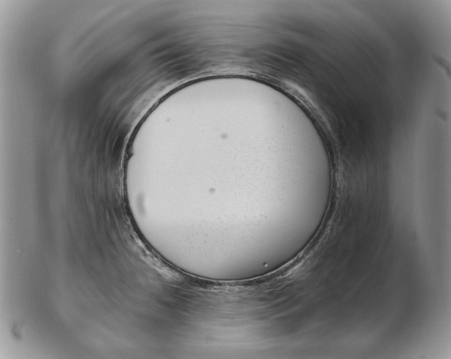 X0000102761236200809021000