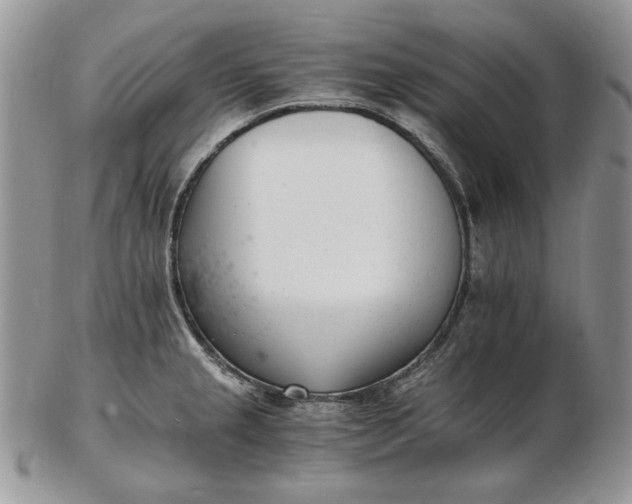 X0000102761237200809021000