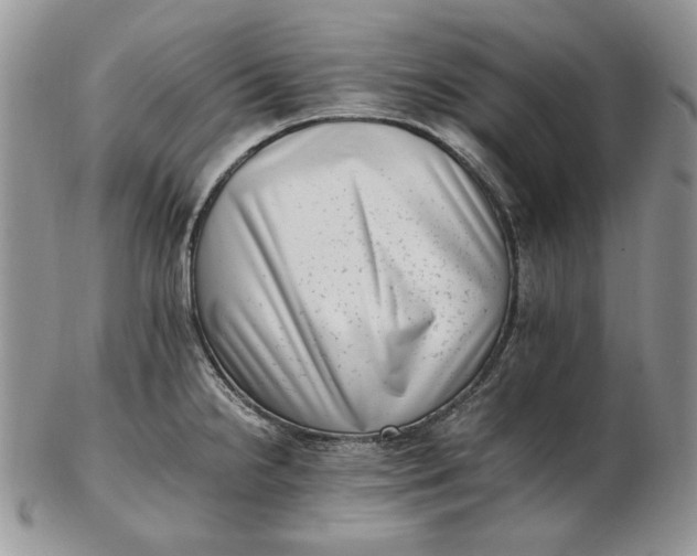 X0000102761238200809021000