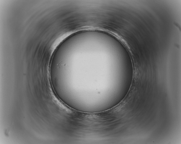 X0000102761239200809021000