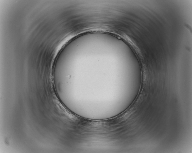 X0000102761240200809021000