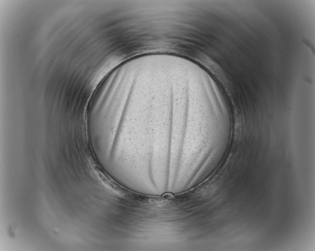 X0000102761242200809021000