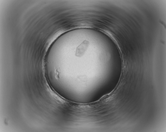 X0000102761243200809021000