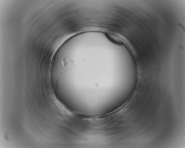 X0000102761244200809021000