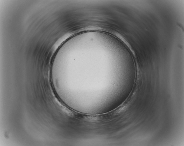 X0000102761245200809021000