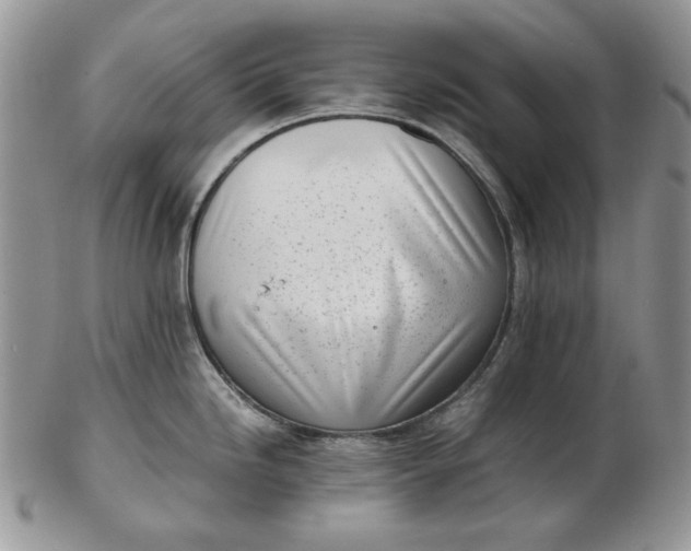 X0000102761246200809021000