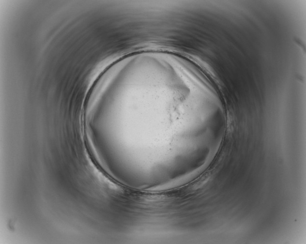 X0000102761247200809021000