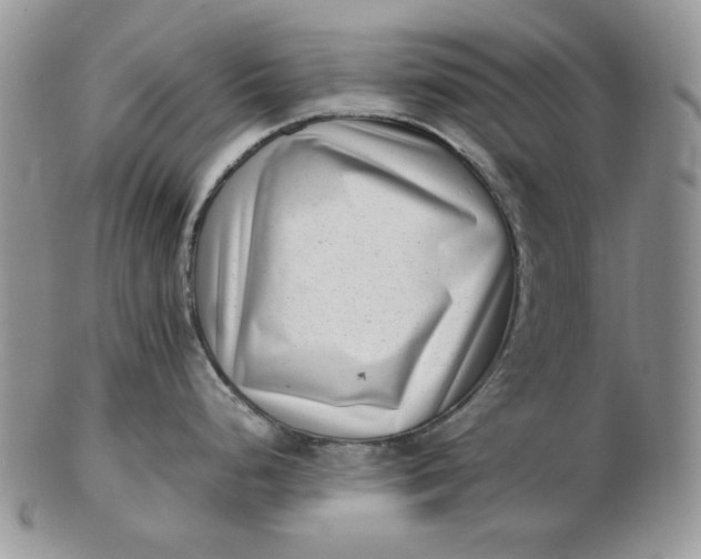 X0000102761248200809021000