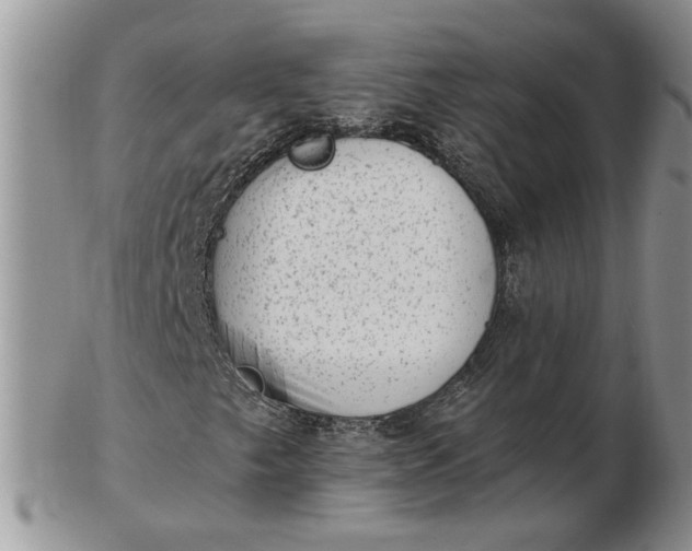 X0000102761249200809021000