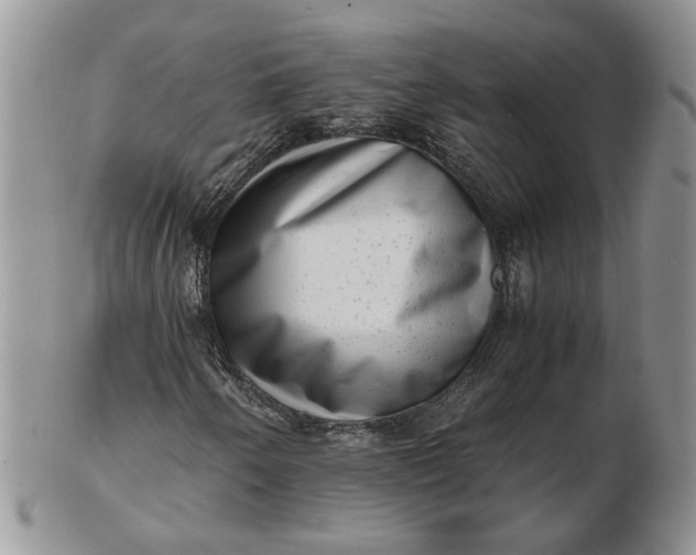 X0000102761250200809021000