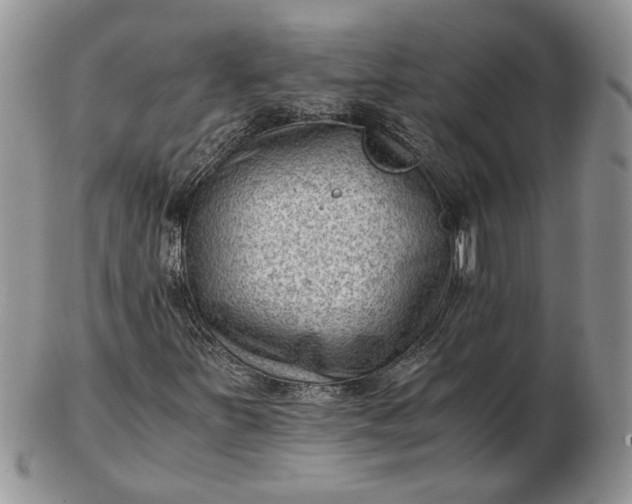 X0000102761251200809021000