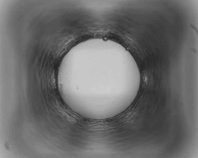 X0000102761252200809021000