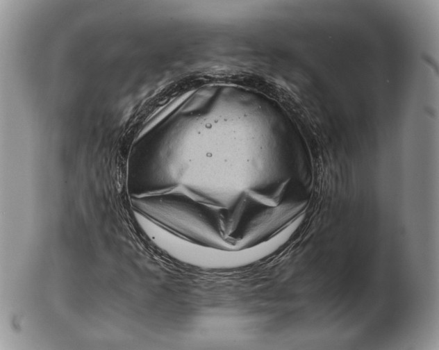 X0000102761253200809021000