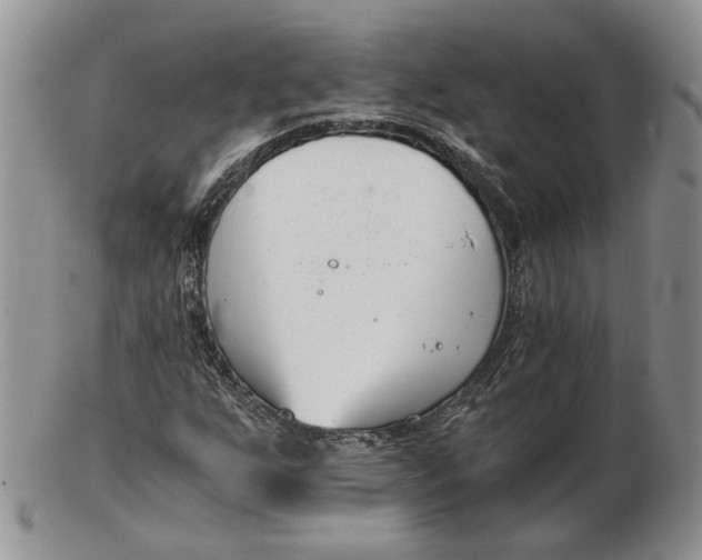 X0000102761255200809021000